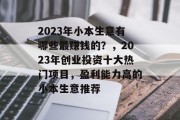 2023年小本生意有哪些最赚钱的？，2023年创业投资十大热门项目，盈利能力高的小本生意推荐