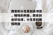 西安的小生意创业项目，赚钱的利器，西安创业好选择，小生意的赚钱利器