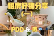 pdd租房好物电器的简单介绍