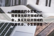 调查赚钱的小生意——探索多元经济领域的机会，多元化经济领域的创业机会，小生意调查