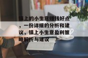 镇上的小生意赚钱好点，一份详细的分析和建议，镇上小生意盈利策略解析与建议