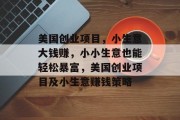 美国创业项目，小生意大钱赚，小小生意也能轻松暴富，美国创业项目及小生意赚钱策略