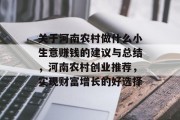 关于河南农村做什么小生意赚钱的建议与总结，河南农村创业推荐，实现财富增长的好选择