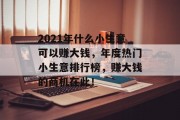 2021年什么小生意可以赚大钱，年度热门小生意排行榜，赚大钱的商机在此！