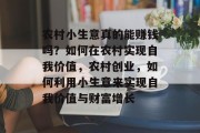 农村小生意真的能赚钱吗？如何在农村实现自我价值，农村创业，如何利用小生意来实现自我价值与财富增长