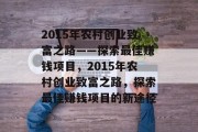 2015年农村创业致富之路——探索最佳赚钱项目，2015年农村创业致富之路，探索最佳赚钱项目的新途径