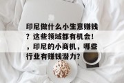 印尼做什么小生意赚钱？这些领域都有机会！，印尼的小商机，哪些行业有赚钱潜力？