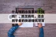 什么样的小生意好干赚钱？，抓住商机，适合初学者的快速赚钱项目推荐