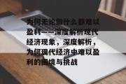 为何无论做什么都难以盈利——深度解析现代经济现象，深度解析，为何现代经济中难以盈利的困境与挑战