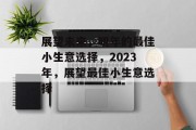 展望未来，明年的最佳小生意选择，2023年，展望最佳小生意选择