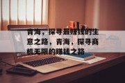 青海，探寻最赚钱的生意之路，青海，探寻商机无限的赚钱之路