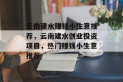 云南建水赚钱小生意推荐，云南建水创业投资项目，热门赚钱小生意推荐