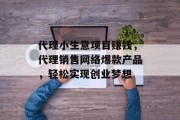 代理小生意项目赚钱，代理销售网络爆款产品，轻松实现创业梦想