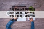 三路下乡小生意赚钱的启示与策略，农村小生意创业指南，成功之路与启示