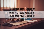 武汉赚钱多的小生意有哪些？，武汉万元以下小本生意推荐，赚钱潜力大、风险低