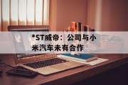 *ST威帝：公司与小米汽车未有合作