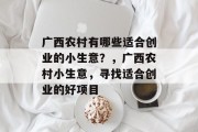 广西农村有哪些适合创业的小生意？，广西农村小生意，寻找适合创业的好项目