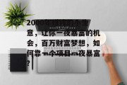 2000年赚钱的小生意，让你一夜暴富的机会，百万财富梦想，如何靠一个项目一夜暴富?