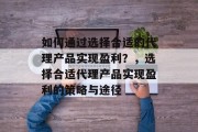 如何通过选择合适的代理产品实现盈利？，选择合适代理产品实现盈利的策略与途径