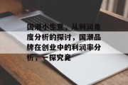 国潮小生意，从利润角度分析的探讨，国潮品牌在创业中的利润率分析，一探究竟