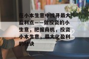 在小本生意中找寻最大盈利点——做投资的小生意，把握商机，投资小本生意，最大化盈利的秘诀