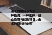当下的赚钱小生意，一种投资、一种选择，创业投资与优选项目，未来的赚钱好生意