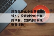 现在做什么小生意能赚钱？，投资创业的十大好项目，教你轻松实现财富增长