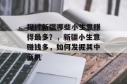 探讨新疆哪些小生意赚得最多？，新疆小生意赚钱多，如何发掘其中商机