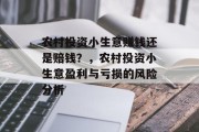 农村投资小生意赚钱还是赔钱？，农村投资小生意盈利与亏损的风险分析