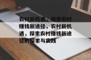 农村新机遇，探索农村赚钱新途径，农村新机遇，探索农村赚钱新途径的探索与实践