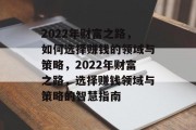 2022年财富之路，如何选择赚钱的领域与策略，2022年财富之路，选择赚钱领域与策略的智慧指南
