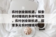 农村创业新机遇，探索农村赚钱的多种可能性，农村创业新机遇，探索多元农村赚钱可能性