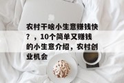 农村干啥小生意赚钱快？，10个简单又赚钱的小生意介绍，农村创业机会