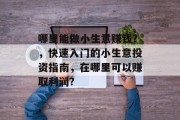哪里能做小生意赚钱？，快速入门的小生意投资指南，在哪里可以赚取利润?