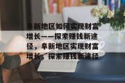 阜新地区如何实现财富增长——探索赚钱新途径，阜新地区实现财富增长，探索赚钱新途径
