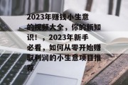 2023年赚钱小生意的视频大全，你的新知识！，2023年新手必看，如何从零开始赚取利润的小生意项目推荐