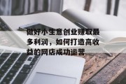 做好小生意创业赚取最多利润，如何打造高收益的网店成功运营