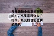 几元钱做小生意能赚钱吗？，小生意投资入门指南，几元钱也能盈利的商机
