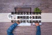 潮州投资小生意赚钱吗？，潮州投资小生意的可行性分析与盈利预测