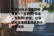 投资10元小生意赚钱项目——互联网+农业，互联网+农业，让你轻松实现财富增长的小生意项目
