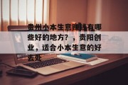贵州小本生意赚钱有哪些好的地方？，贵阳创业，适合小本生意的好去处