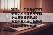 宜宾，一个富有潜力的小城，如何在其中寻找小生意赚钱的机会？，宜宾创业机会，如何通过小生意赚取利润