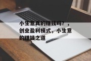 小生意真的赚钱吗？，创业盈利模式，小生意的赚钱之道