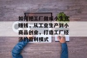 如何把工厂做成小生意赚钱，从工业生产到小商品创业，打造工厂经济的盈利模式