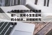 小生意赚钱的思路有哪些？，实现小生意盈利的小秘诀，详细解析与推荐