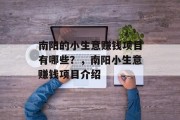 南阳的小生意赚钱项目有哪些？，南阳小生意赚钱项目介绍