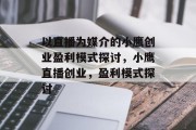 以直播为媒介的小鹰创业盈利模式探讨，小鹰直播创业，盈利模式探讨