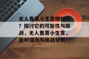无人售票小生意赚钱吗？探讨它的可能性与挑战，无人售票小生意，盈利潜力与挑战分析