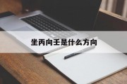 坐丙向壬是什么方向