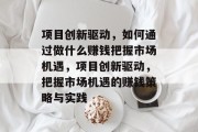 项目创新驱动，如何通过做什么赚钱把握市场机遇，项目创新驱动，把握市场机遇的赚钱策略与实践